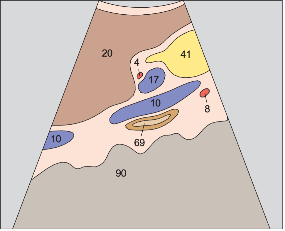 Layers of adrenal gland
