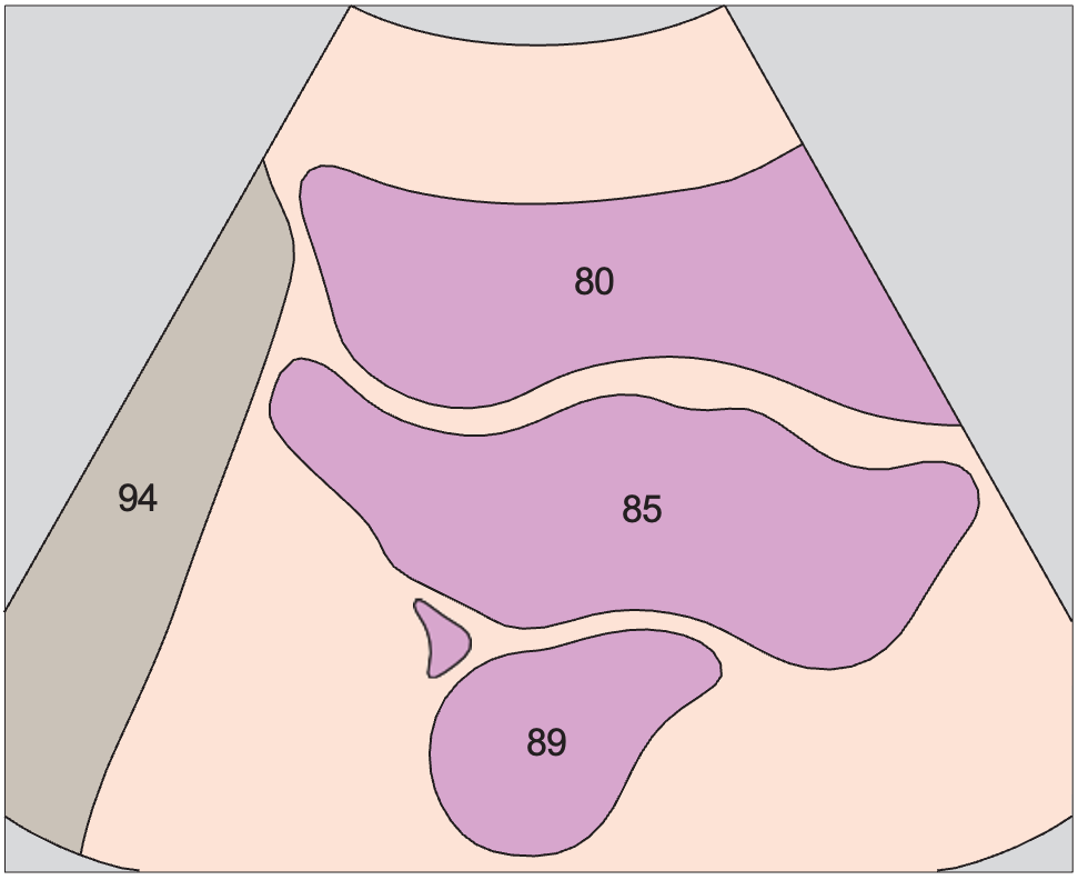 Uterus, bladder, rectum