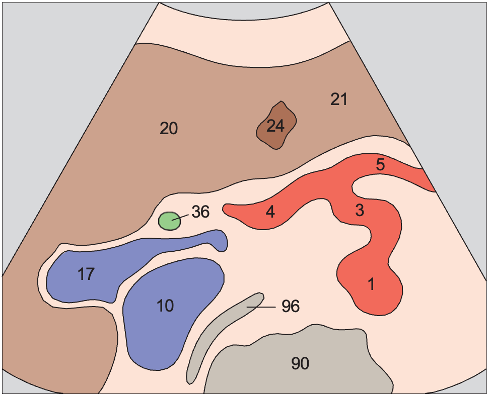 Hepatic artery, bile duct, portal vein