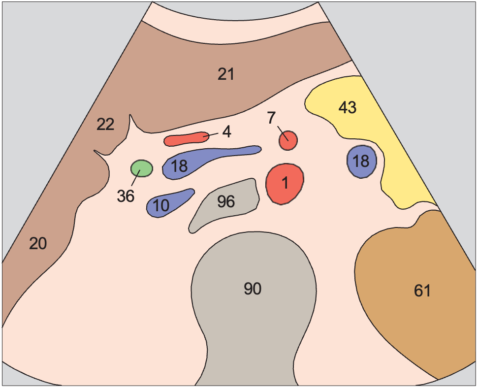 Superior mesenteric artery