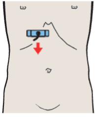 Gallbladder fundus, inferior border