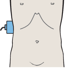 Kidney, liver