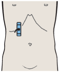 Layers of adrenal gland