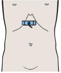 Body of stomach, aorta, liver