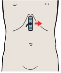 Esophagus, aorta, liver