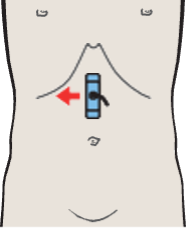 Antrum, liver, pancreas