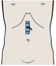 Duodenum, gallbladder, vena cava