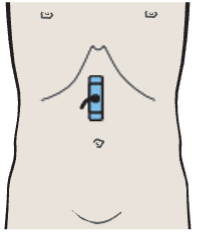 Layers of gastric wall