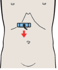 Hepatic artery, portal vein, vena cava